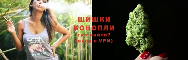 СК Нягань