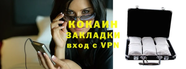 молекула духа Няндома
