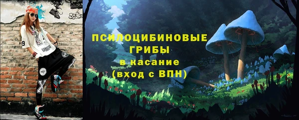 молекула духа Няндома
