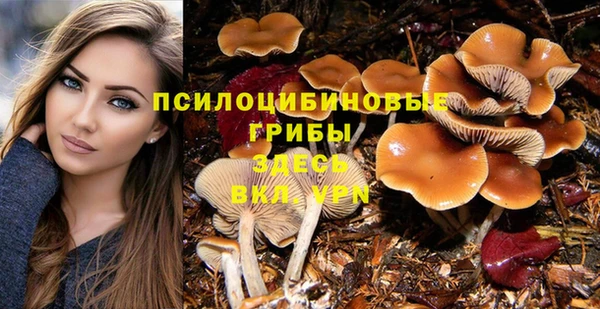 кокс Абинск