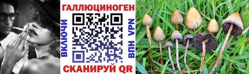 Псилоцибиновые грибы Magic Shrooms  Иннополис 